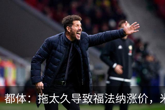 都体：拖太久导致福法纳涨价，米兰考虑拉比奥特